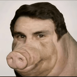 Boarified human 3